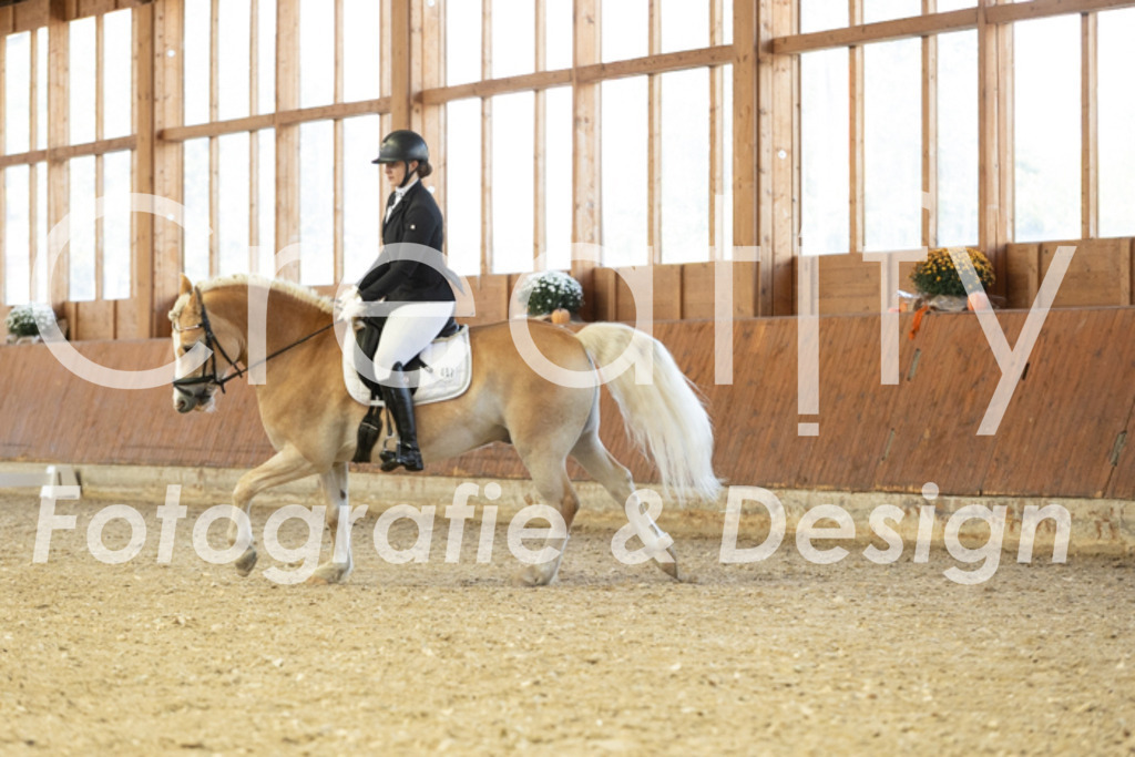 IMG_5440 | Creatify Fotografie