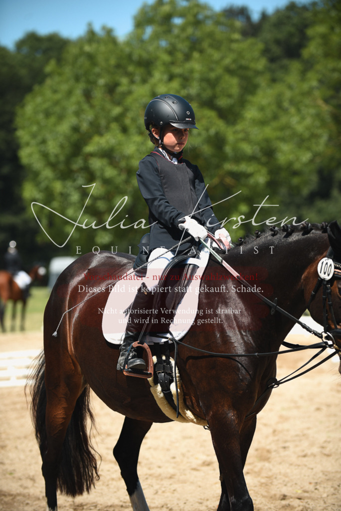 DSC_2333 | Pferde- und Turnierfotografie in Westsachsen. Pferdeportraits, Auftragszeichnungen und intuitive Kunst.