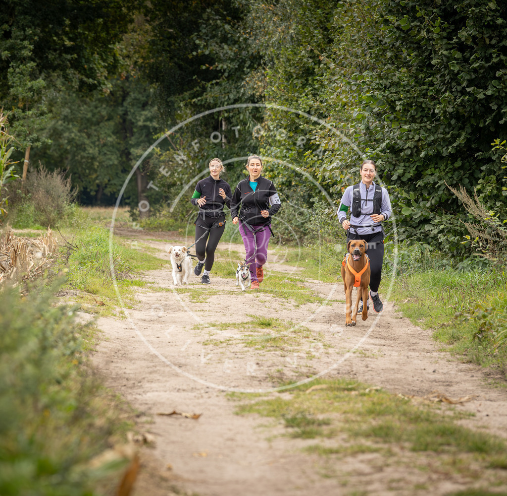 Pfotenfotografie_DV3A6942 | Hundefotografie, Tierfotograf, Pfotenfotografie, Fotoshooting Hund, Hunde Portrait, Hundesport, Hundeportraits, Heideshooting, Hunde, Sportfotograf, Hundefotograf, Turnierhundsport, THS,  - Realisiert mit Pictrs.com