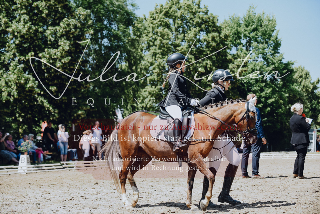 DSC_2483 | Pferde- und Turnierfotografie in Westsachsen. Pferdeportraits, Auftragszeichnungen und intuitive Kunst.
