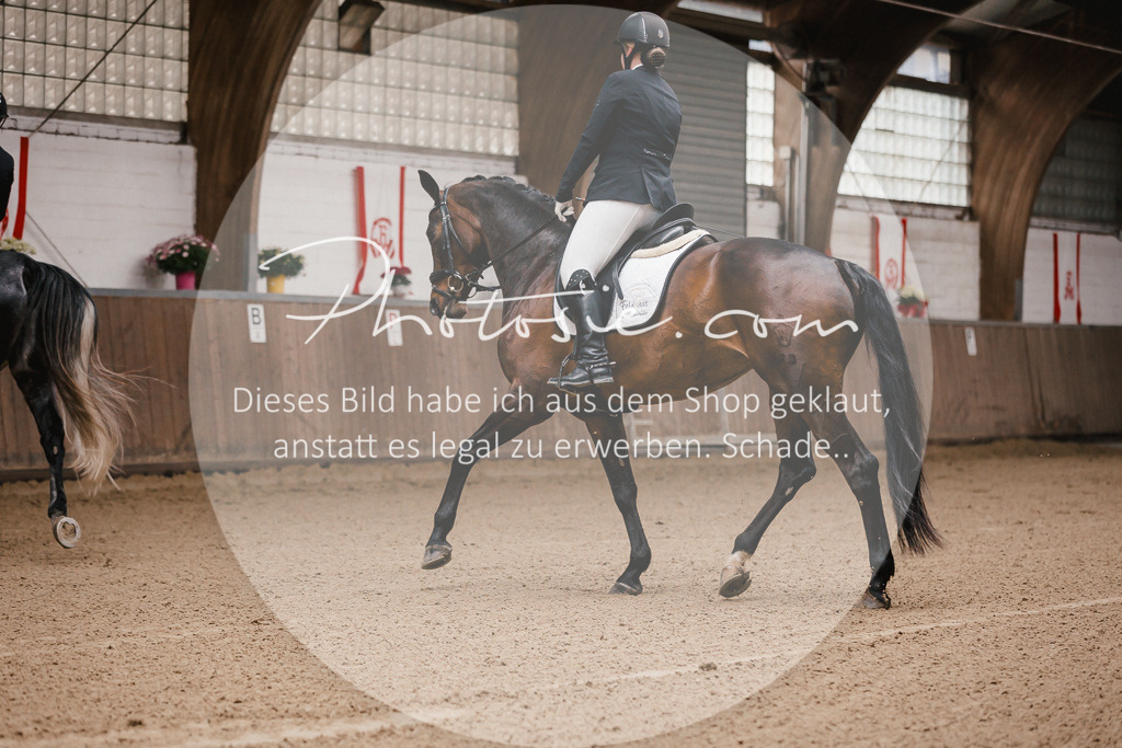 3I6A7064 | Stimmungsvolle Portraits und Reitsportfotografie im Ruhrgebiet und im Münsterland.

Pferdefotografie, Hundefotografie, Tierfotografie, Reportagen, Portraits von Tier und Mensch, Turnierfotografie in Bochum, Recklinghausen, Marl, Haltern am See, Dülmen.. - Realisiert mit Pictrs.com