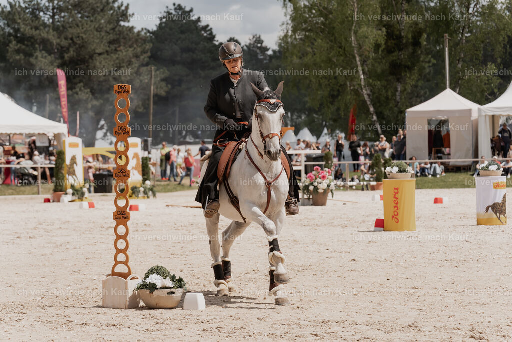 WE_ST_Stoib_321_PI2025_1145 | Pferd International München 2025