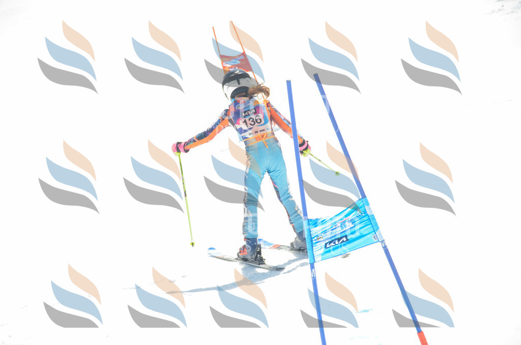 _ELE6183 | holidayphoto