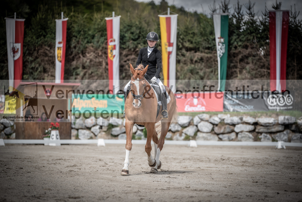 DSC_2639 | equestrian-live-com