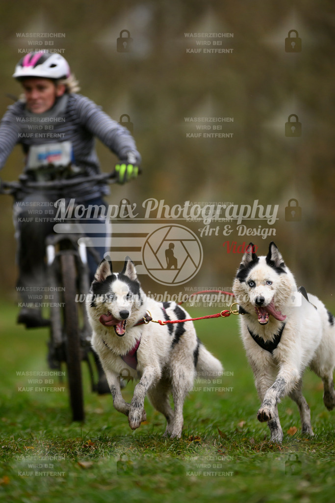 MompixPhotography_Bischwiller24_SA_VTT2-40 | PayLife