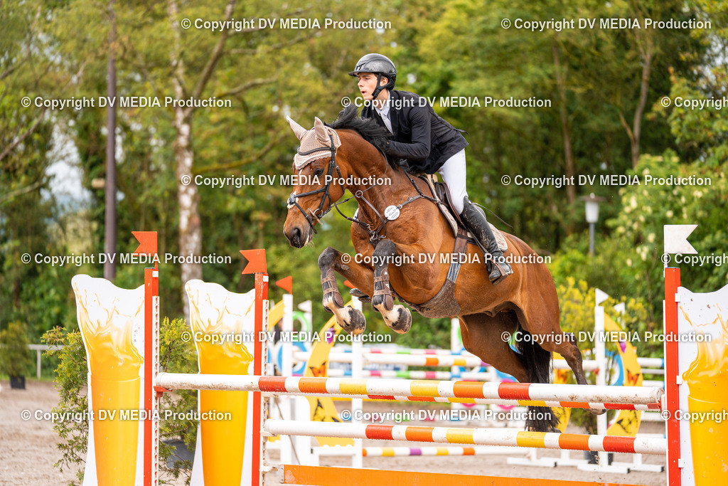 Eppelheim Tag 3-49 | dv-media-shop - Realisiert mit Pictrs.com