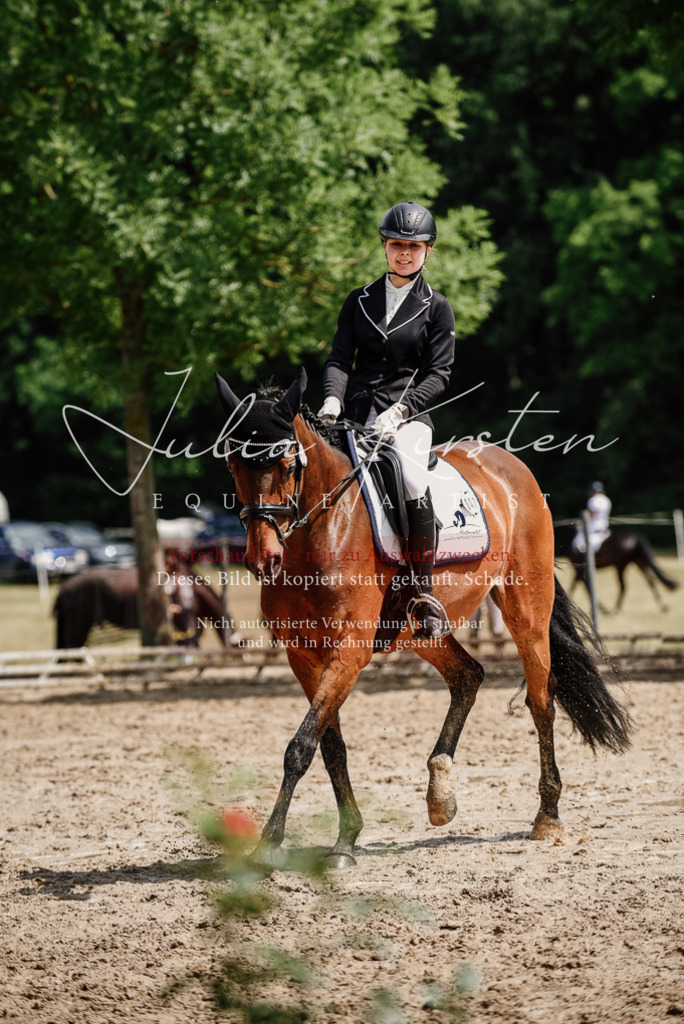 DSC_0927 | Pferde- und Turnierfotografie in Westsachsen. Pferdeportraits, Auftragszeichnungen und intuitive Kunst.