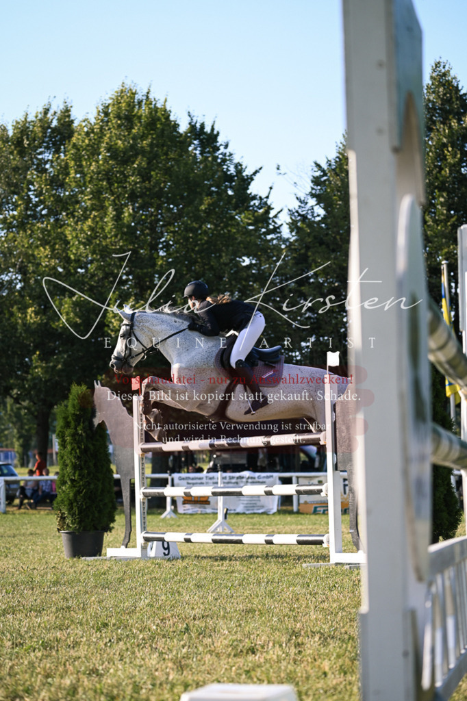 DSC_1806 | Pferde- und Turnierfotografie in Westsachsen. Pferdeportraits, Auftragszeichnungen und intuitive Kunst.