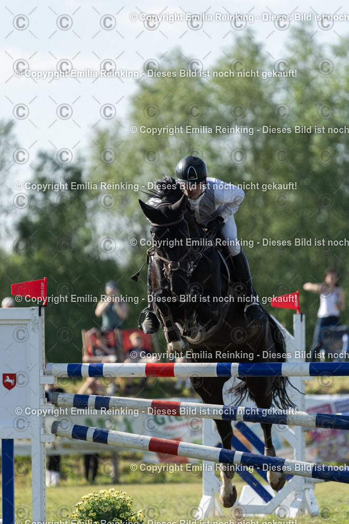 CL5A6036 | Emilia Reinking Fotografie - Realisiert mit Pictrs.com