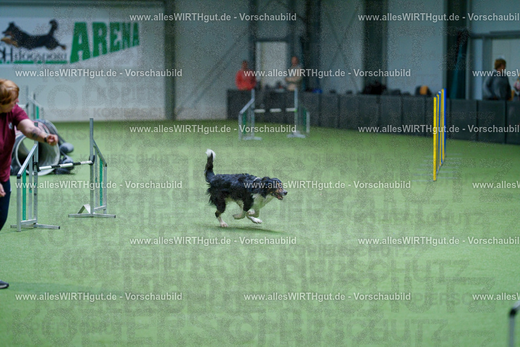 @allesWIRTHgut_Tierfotografie - www.allesWIRTHgut.de - 2604251042-7R509913 | Professionelle Tierfotografie in Mönchengladbach von Daniel Wirth (allesWIRTHgut). Liebevolle & natürliche Bilder von Hunden & Katzen für unvergessliche Erinnerungen.