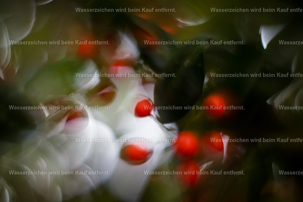 Heilung der Vergangenheit - Erinnerungen | Die Botschaft zum Bild lautet: Wecke jetzt die Erinnerung in dir, wer du wirklich bist. Erwecke in dir die Erinnerungen deiner Vergangenheit und sieh sie an, schwelge darin. Doch es ist jetzt Zeit, diese Erinnerung loszulassen. Richte den Blick nach vorne, doch fühle das Jetzt und kreiere jetzt. Mit gefestigtem Schritt erschaffst du neue Erinnerungen.