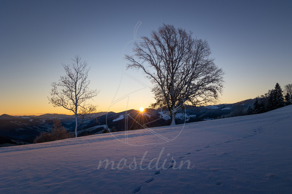 Sonnenaufgang Puchberg Randegg | Ihre Fotografin im Lungau, ihre Fotografin im Mostviertel, Wandbilder Onlineshop, Imagefotos für Ihr Unternehmen,  - Realisiert mit Pictrs.com