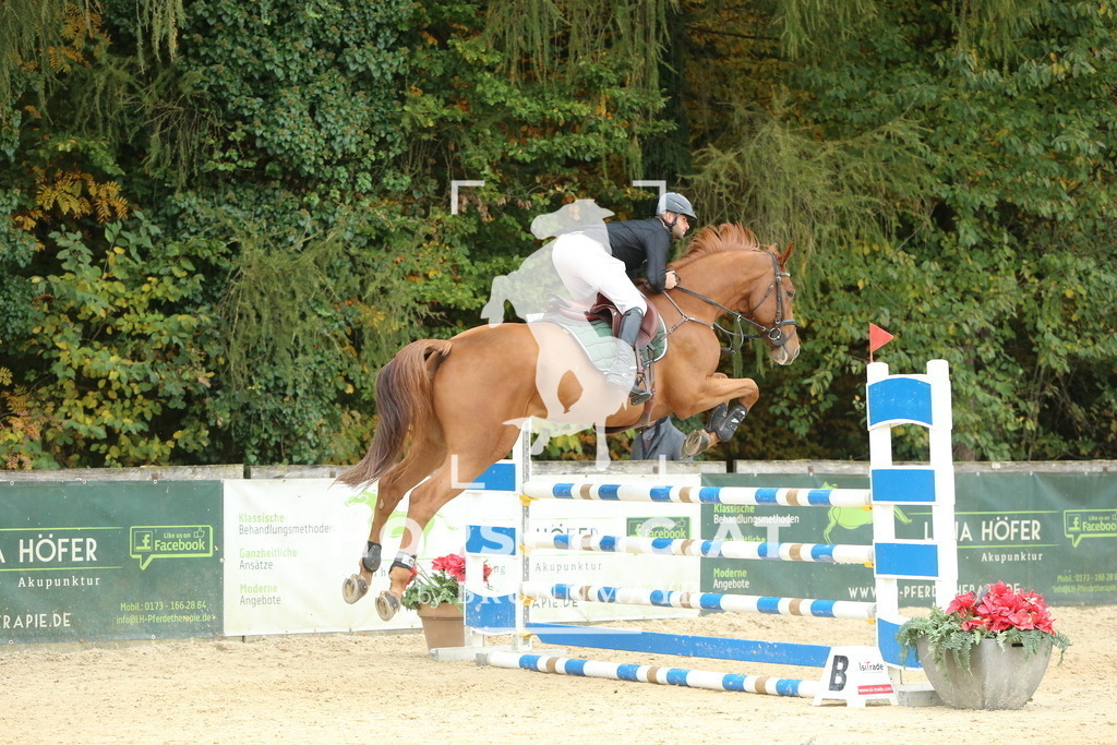 DL2Q6803 | Willkommen bei Brunnmayr - Design & Fotografie – Ihrem Spezialisten für Reitturniere und Pferdeveranstaltungen in Oberösterreich, Salzburg und Bayern! Seit über 17 Jahren sind wir leidenschaftlich dabei.