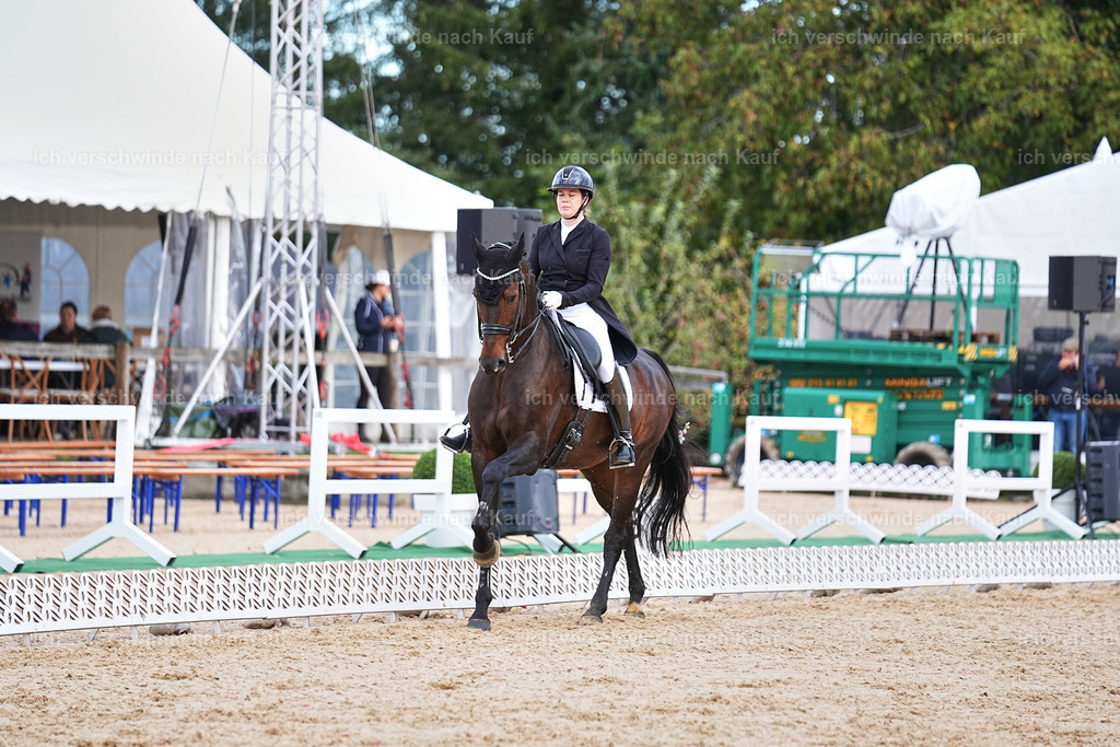 10-193-ST.GEORG SPECIAL -Marixx-3384 | working equitationturnier fotograf videograf stoibphotography marixx film working equitation deutschland reitsport turnierfotografie eventfotografie equestrian events