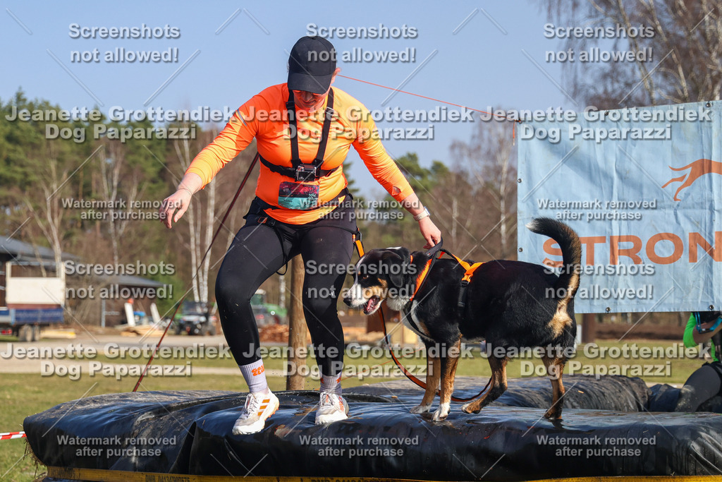 Dog Paparazzi - Strongdog North Mrz26-2654 | Dog Paparazzi Jeanette Grottendiek Fotografie & Videografie - Realisiert mit Pictrs.com