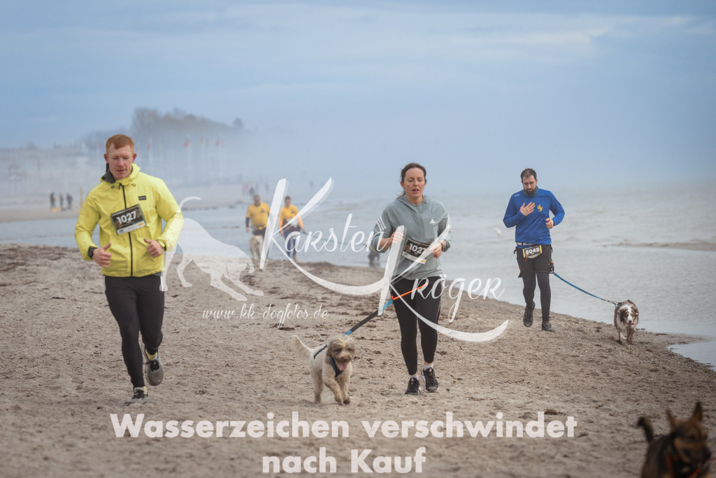 1146_ZZ90921 | kk-dogfotos