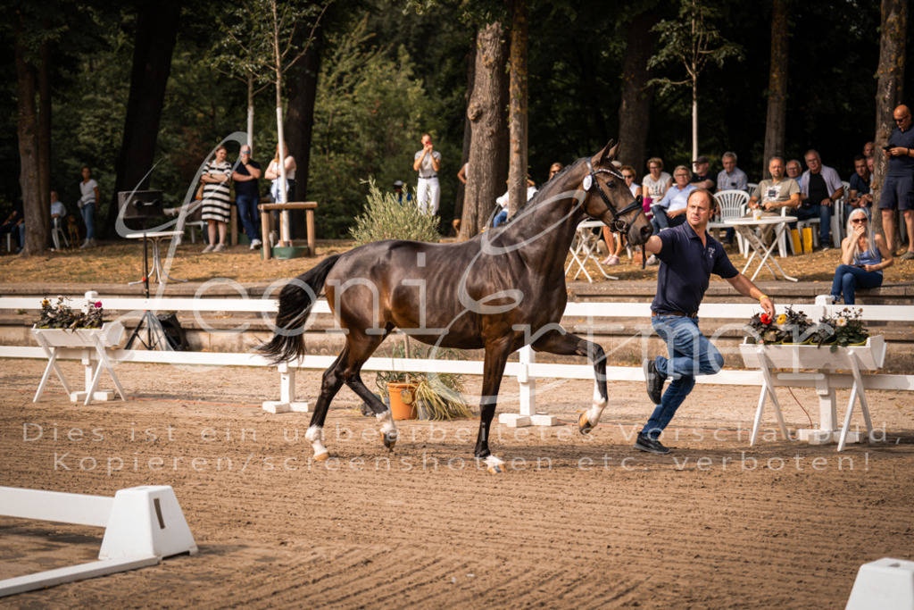 FrER00039 | Leoni Ertmer Photography - Realisiert mit Pictrs.com