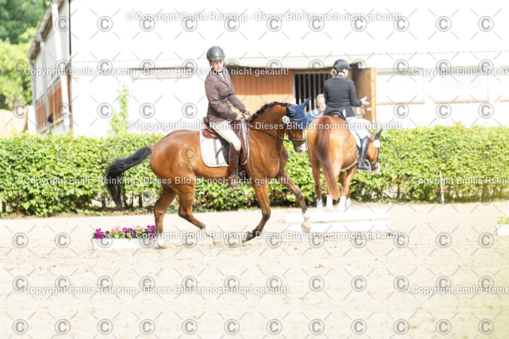 CL5A6757-2 | Emilia Reinking Fotografie - Realisiert mit Pictrs.com