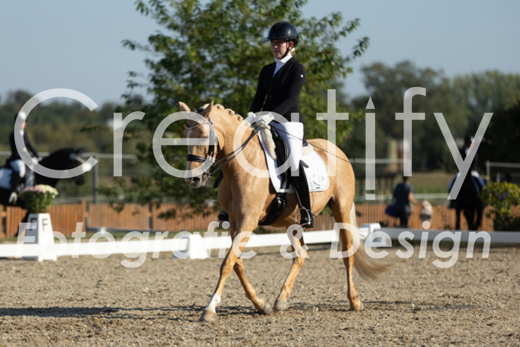 IMG_1007 | Creatify Fotografie