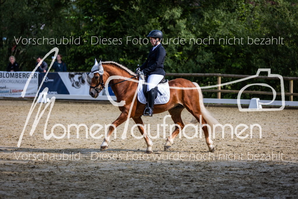 Donop24-A-Dre-133 | MomenTaufnahmen Pferdesportfotos