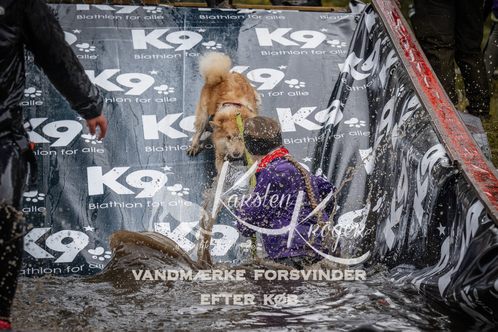 1154_ZZ93833 | kk-dogfotos