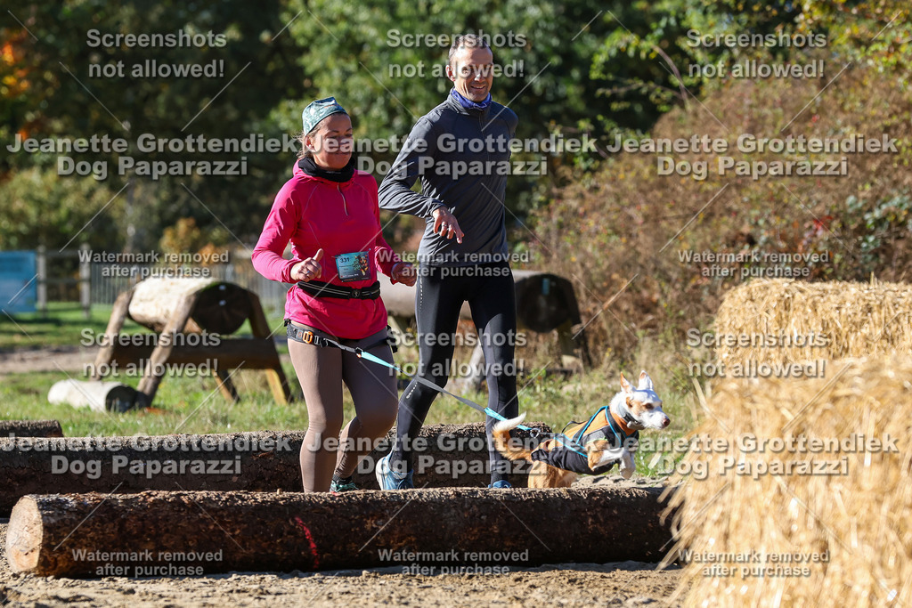 Dog Paparazzi - Strongdog 10-25-2729 | Dog Paparazzi Jeanette Grottendiek Fotografie & Videografie - Realisiert mit Pictrs.com
