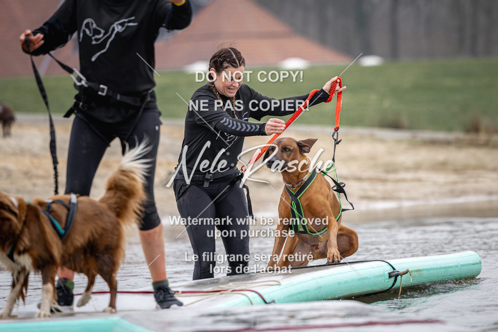 nelerasche_Hulsbeek_Sa1130-1230_318 | nelerasche