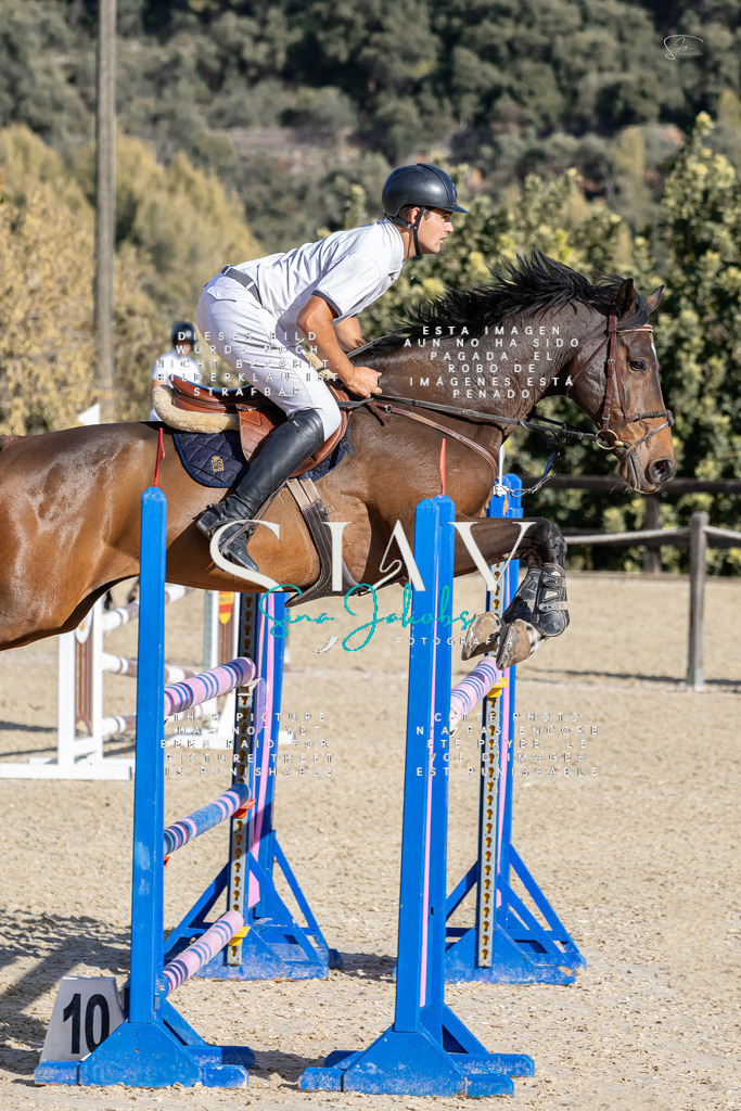 IMG_0106 | s-jay-photography - Realisiert mit Pictrs.com