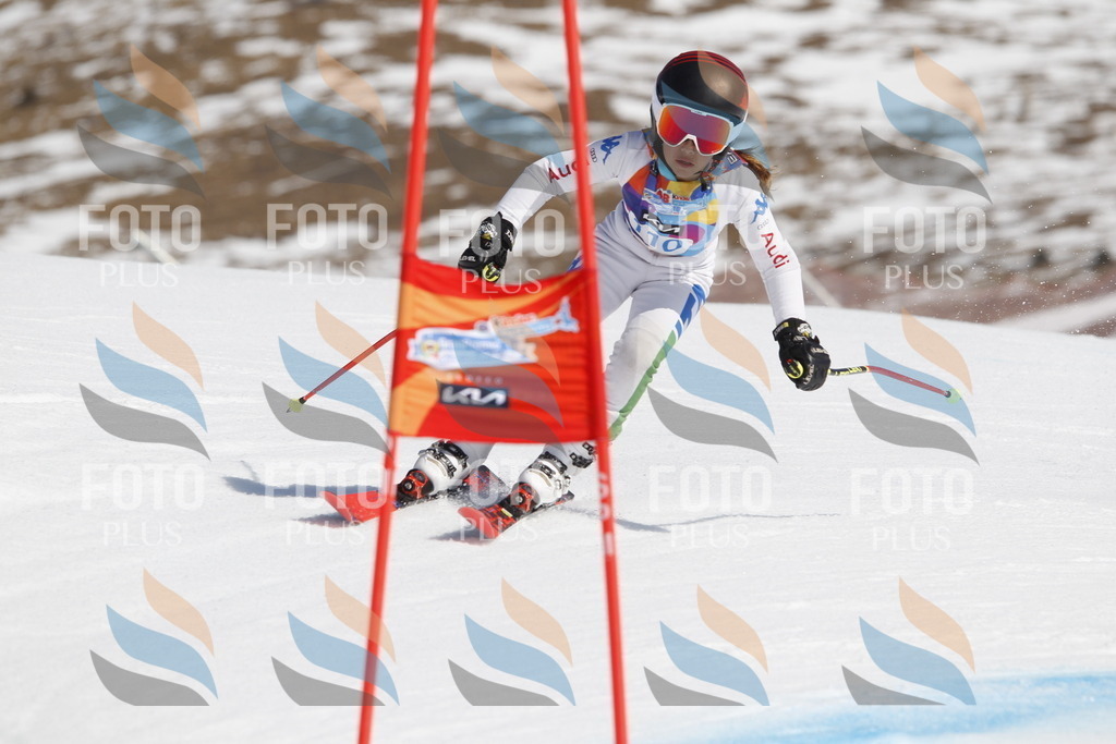 _U3G0494 | holidayphoto