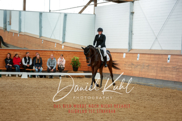 _62_7621 | Turniersportfotografie; Pferdefotografie; Dressurfotografie