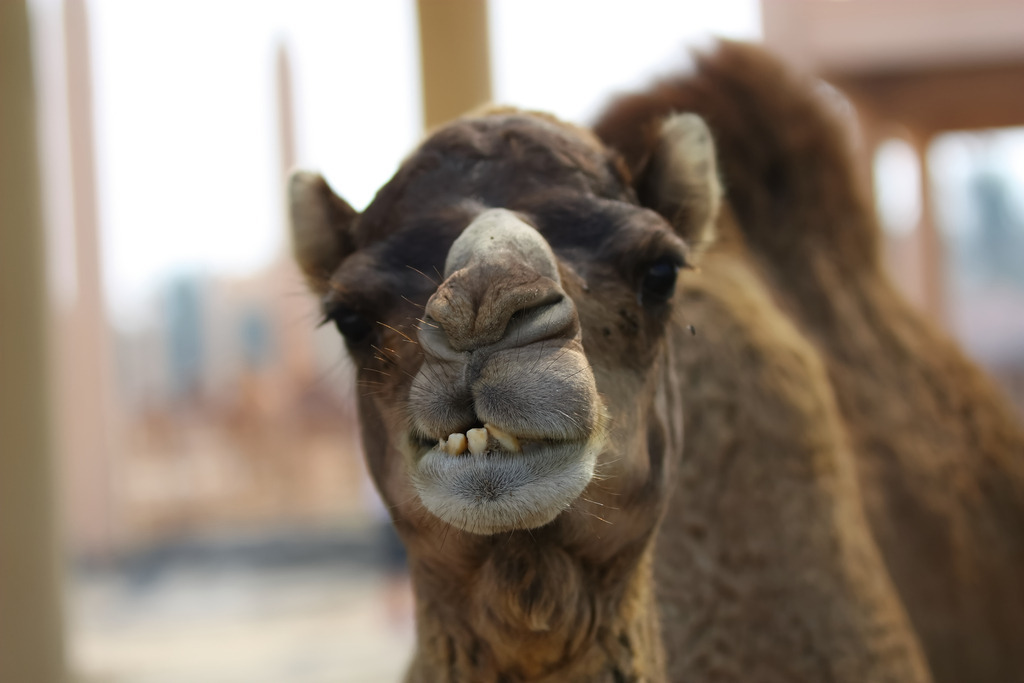 IMG_6586a | ansichtssache