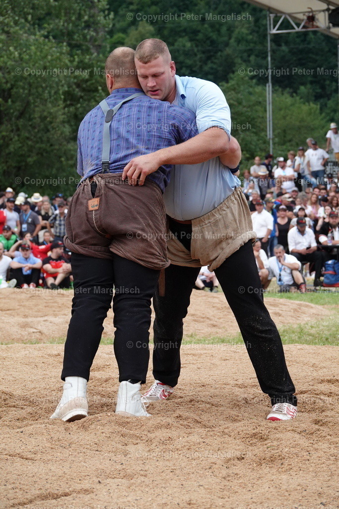 DSC01341 | Schwingen - Realized with Pictrs.com