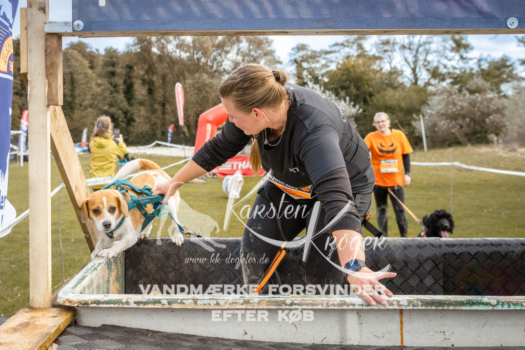 1350_ZZ92377-2 | kk-dogfotos