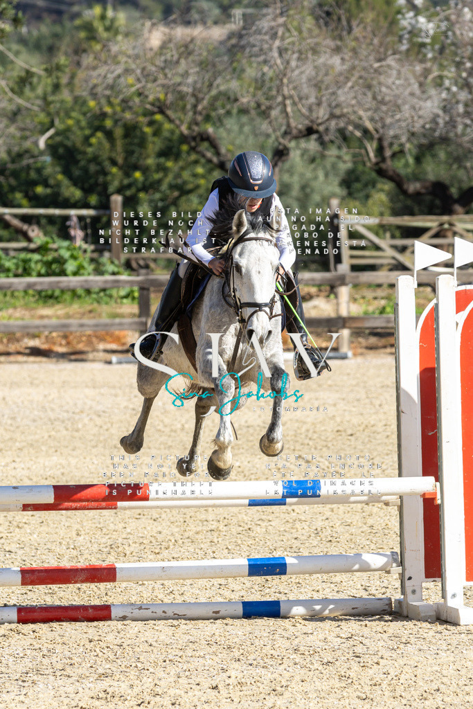 IMG_3797 | s-jay-photography - Realisiert mit Pictrs.com