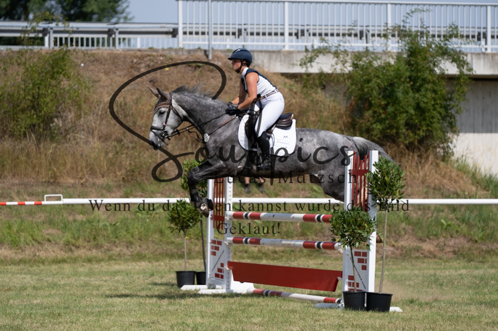 A7V01683 | Pferdefotograf