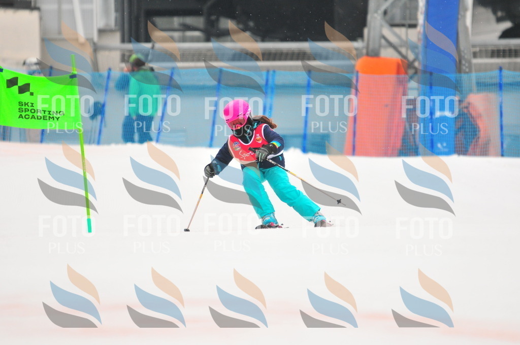 C0503 | holidayphoto