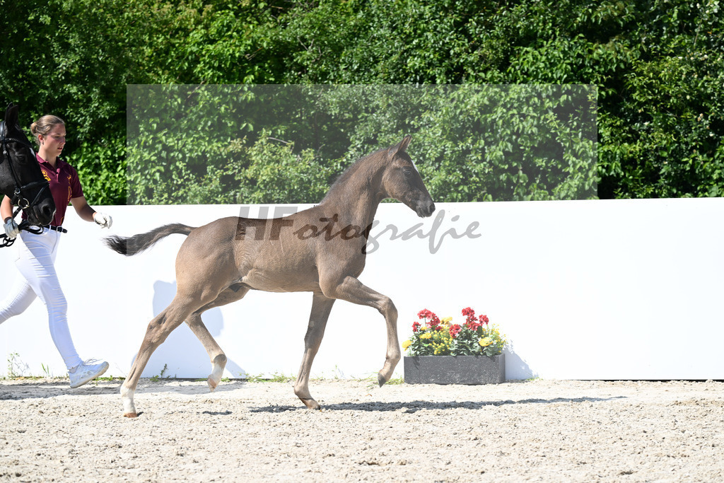 Sane x San Remo_HF_Leeser_13251678 | hf-fotografie - Realizzato con Pictrs.com