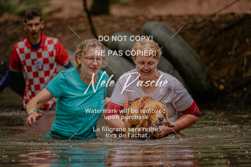 nelerasche_SaWingst1130-1200_93 | nelerasche