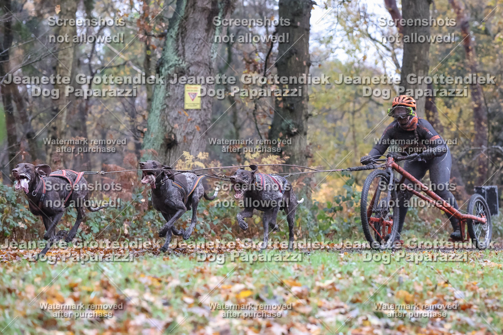 Dog Paparazzi - Ströhen 25-21 | Dog Paparazzi Jeanette Grottendiek Fotografie & Videografie - Realisiert mit Pictrs.com