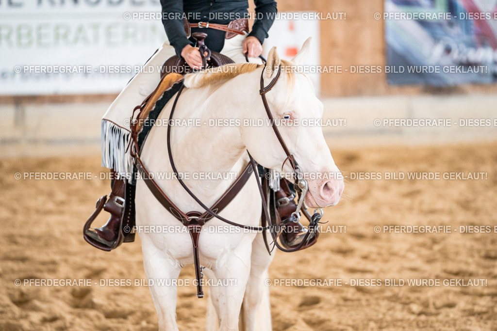 DSC00806 | Pferdegrafie