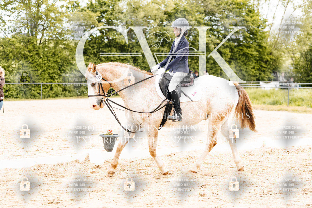 CK904394 | Turnierfotografie Pferdefotografie Trier Rheinland-Pfalz Pferdesport Reitsport Tierfotografie Sportfotografie Pferdevideo Pferdevideografie Equestrianvideography equestrianphotography  - Realisiert mit Pictrs.com