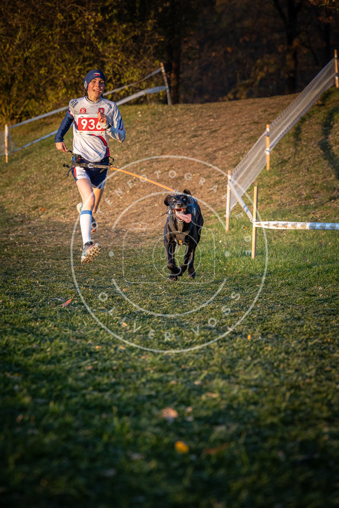 CaniXpix_0L8A1778 | Hundefotografie, Tierfotograf, Pfotenfotografie, Fotoshooting Hund, Hunde Portrait, Hundesport, Hundeportraits, Heideshooting, Hunde, Sportfotograf, Hundefotograf, Turnierhundsport, THS,  - Realisiert mit Pictrs.com