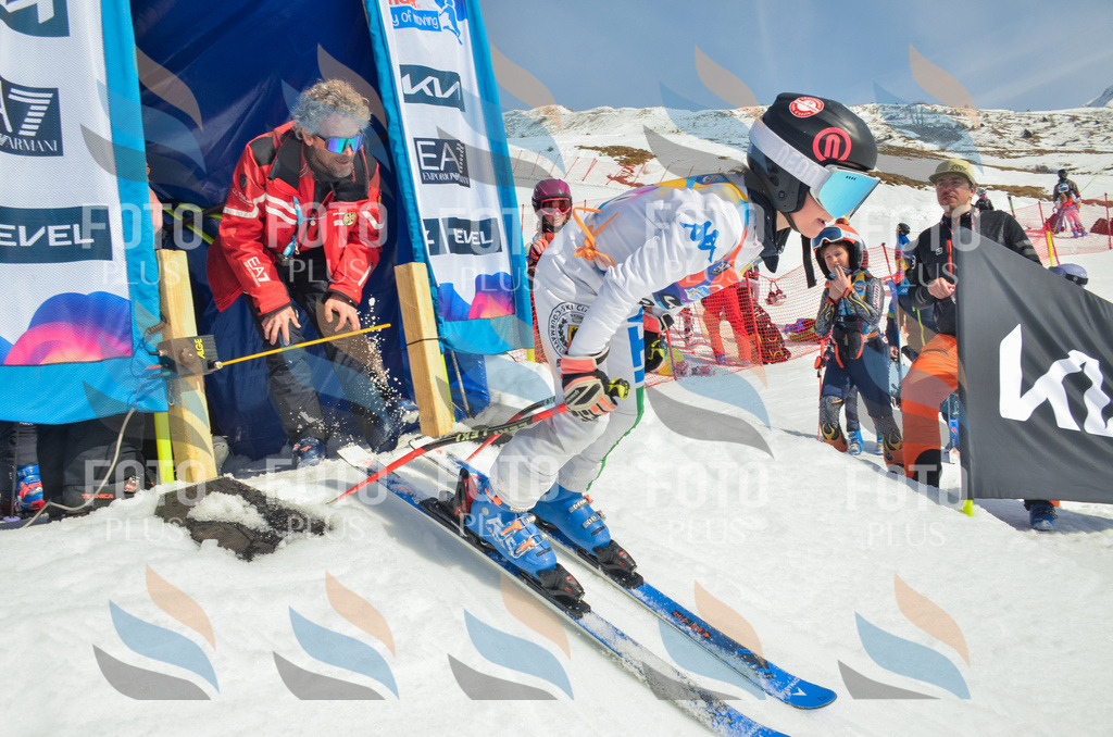 _ELE5008 | holidayphoto