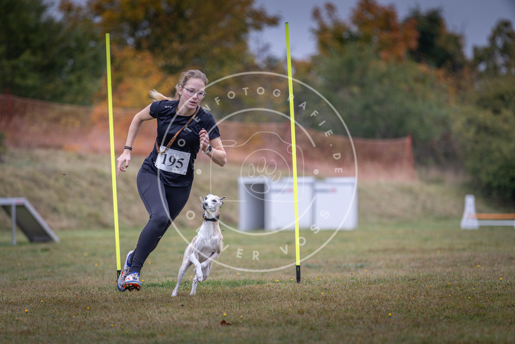 Pfotenfotografie_DV3A1021 | Hundefotografie, Tierfotograf, Pfotenfotografie, Fotoshooting Hund, Hunde Portrait, Hundesport, Hundeportraits, Heideshooting, Hunde, Sportfotograf, Hundefotograf, Turnierhundsport, THS,  - Realisiert mit Pictrs.com