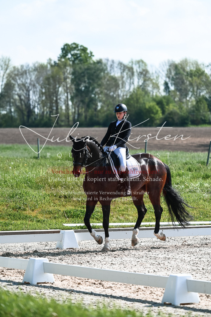 20230514_JK-Röhrsdorf-18-395 | Pferde- und Turnierfotografie in Westsachsen. Pferdeportraits, Auftragszeichnungen und intuitive Kunst.