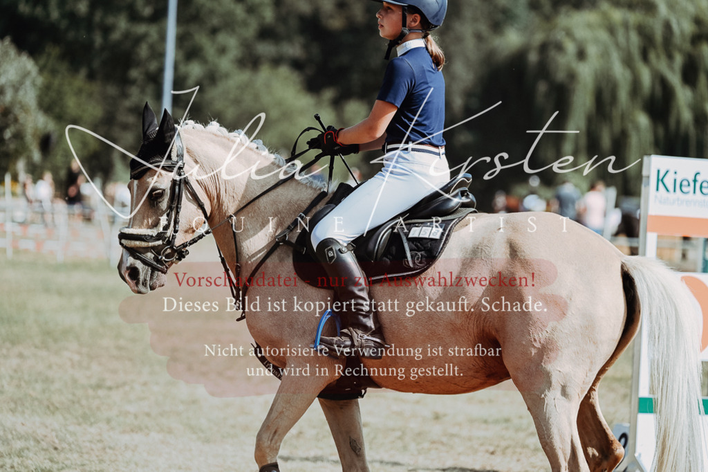 DSC_9330 | Pferde- und Turnierfotografie in Westsachsen. Pferdeportraits, Auftragszeichnungen und intuitive Kunst.
