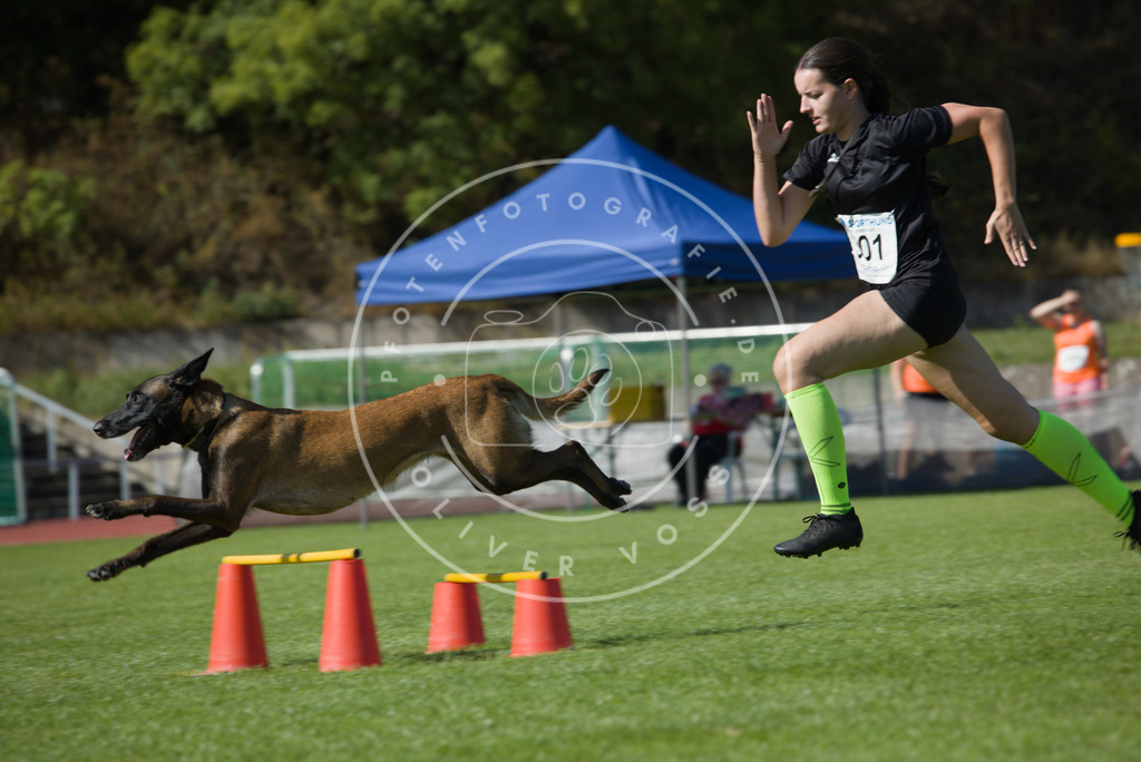 0L8A7754 | Hundefotografie, Tierfotograf, Pfotenfotografie, Fotoshooting Hund, Hunde Portrait, Hundesport, Hundeportraits, Heideshooting, Hunde, Sportfotograf, Hundefotograf, Turnierhundsport, THS,  - Realisiert mit Pictrs.com