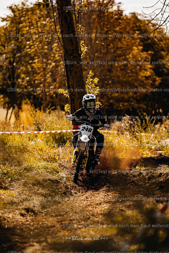 E68A1475 | blick_win_kel