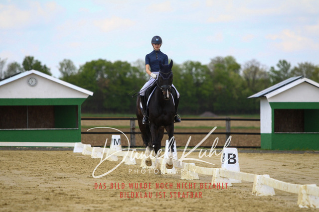 DKP43141 | Turniersportfotografie; Pferdefotografie; Dressurfotografie