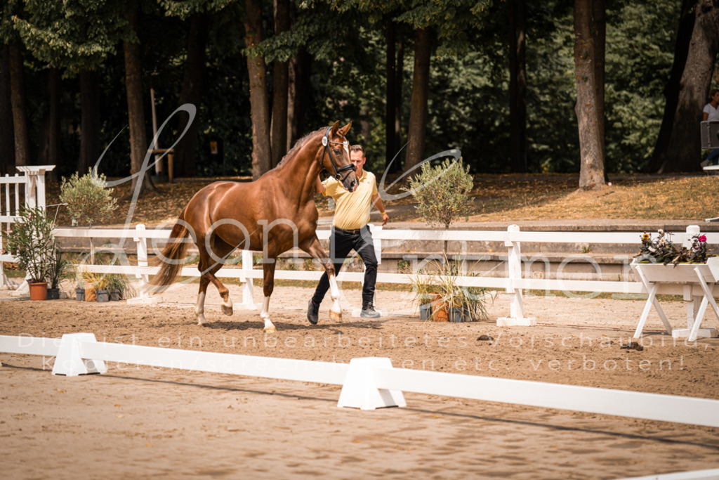 2. Fr00003 | Leoni Ertmer Photography - Realisiert mit Pictrs.com